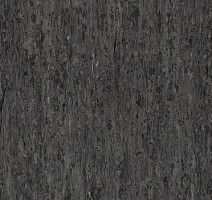 Линолеум Tarkett iq Optima NEUTRAL BLACK 0244 фото 1 | FLOORDEALER